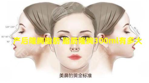 产后隆胸脂肪 脂肪隆胸300ml有多大